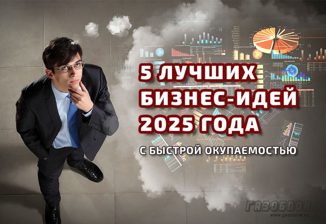 5 лучших бизнес-идей 2025 с быстрой окупаемостью фото к статье