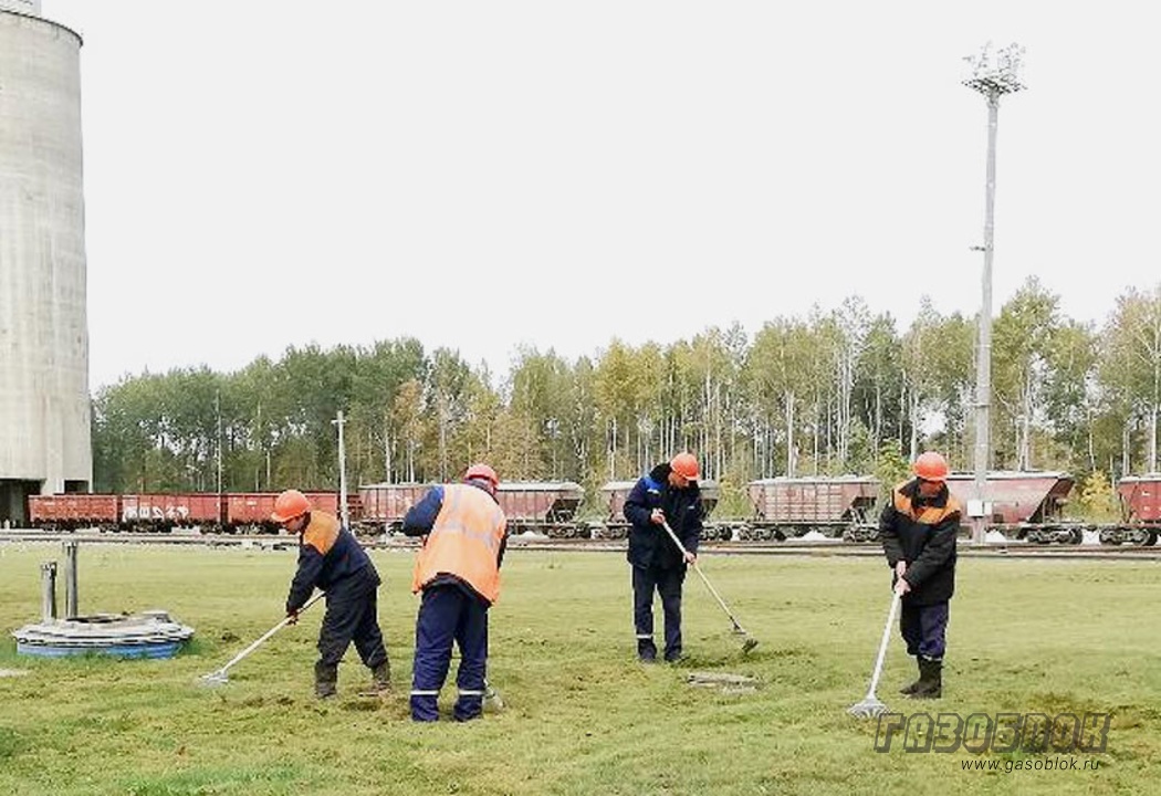 Сотрудники филиала «БЦК» на районном субботнике, фото к новости