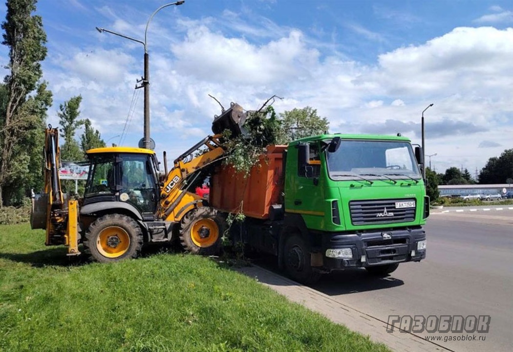 Благодарность гендиректору холдинга «БЦК», фото к новости